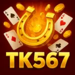 TK567 BD icon